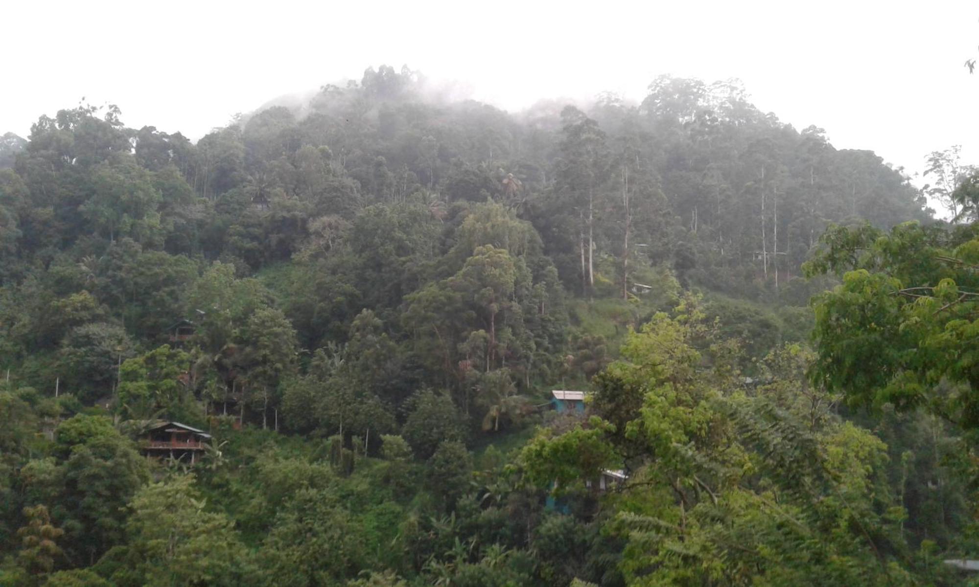 فندق Ella Lucky Panoramic الغرفة الصورة