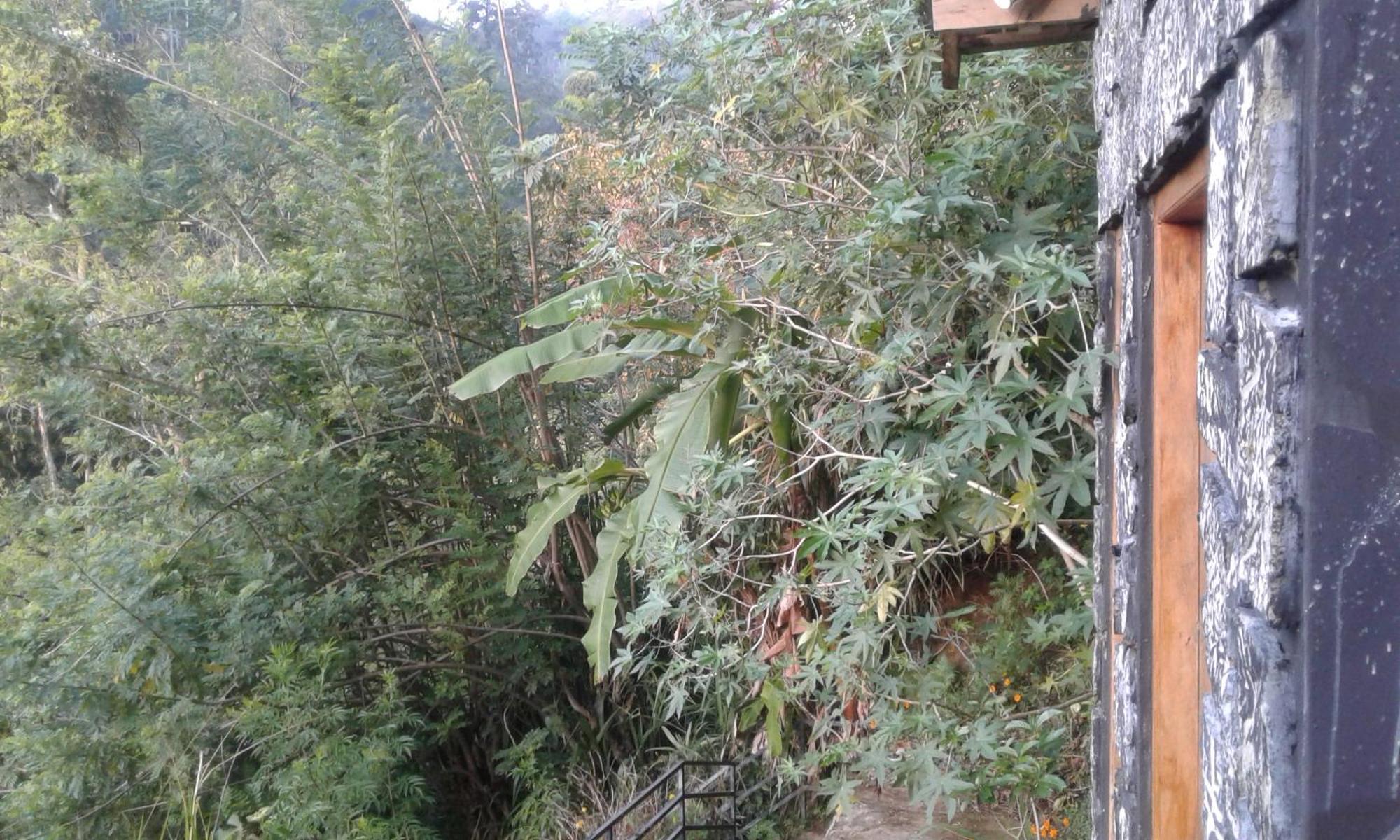 فندق Ella Lucky Panoramic الغرفة الصورة
